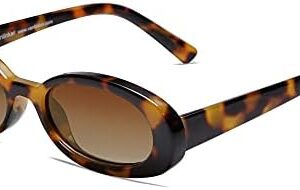 VANLINKER Polarized Retro Oval Sunglasses for Women and Men Small 90s Style VL9580